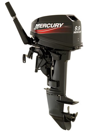 Mercury 9.9 MH 169CC